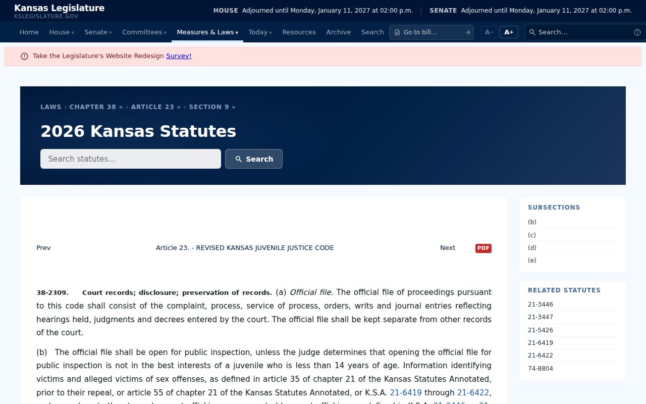 Neosho County criminal docket juvenile access law